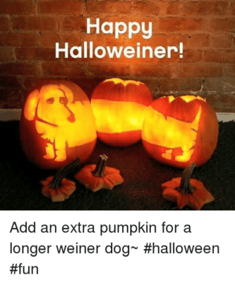 Awesome Pawsome all natural dog treats fall season Halloween super pumpkin carving