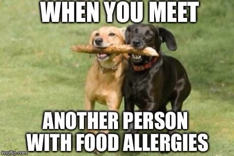 two dogs bonding together with their food allergies
