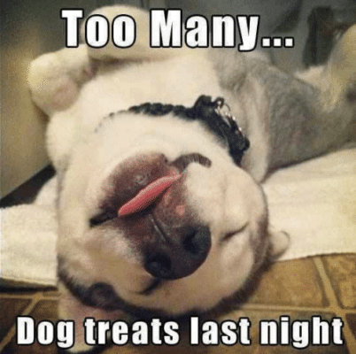 dog had too many treats, lying on floor eyes closed, tongue out