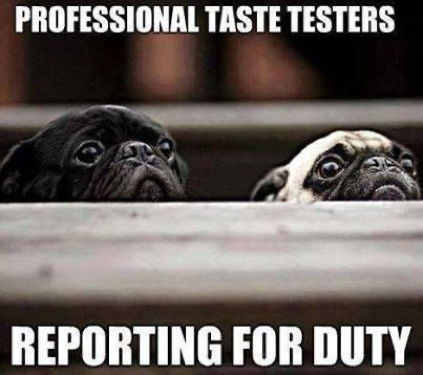 two pugs working as professional taste testers meme