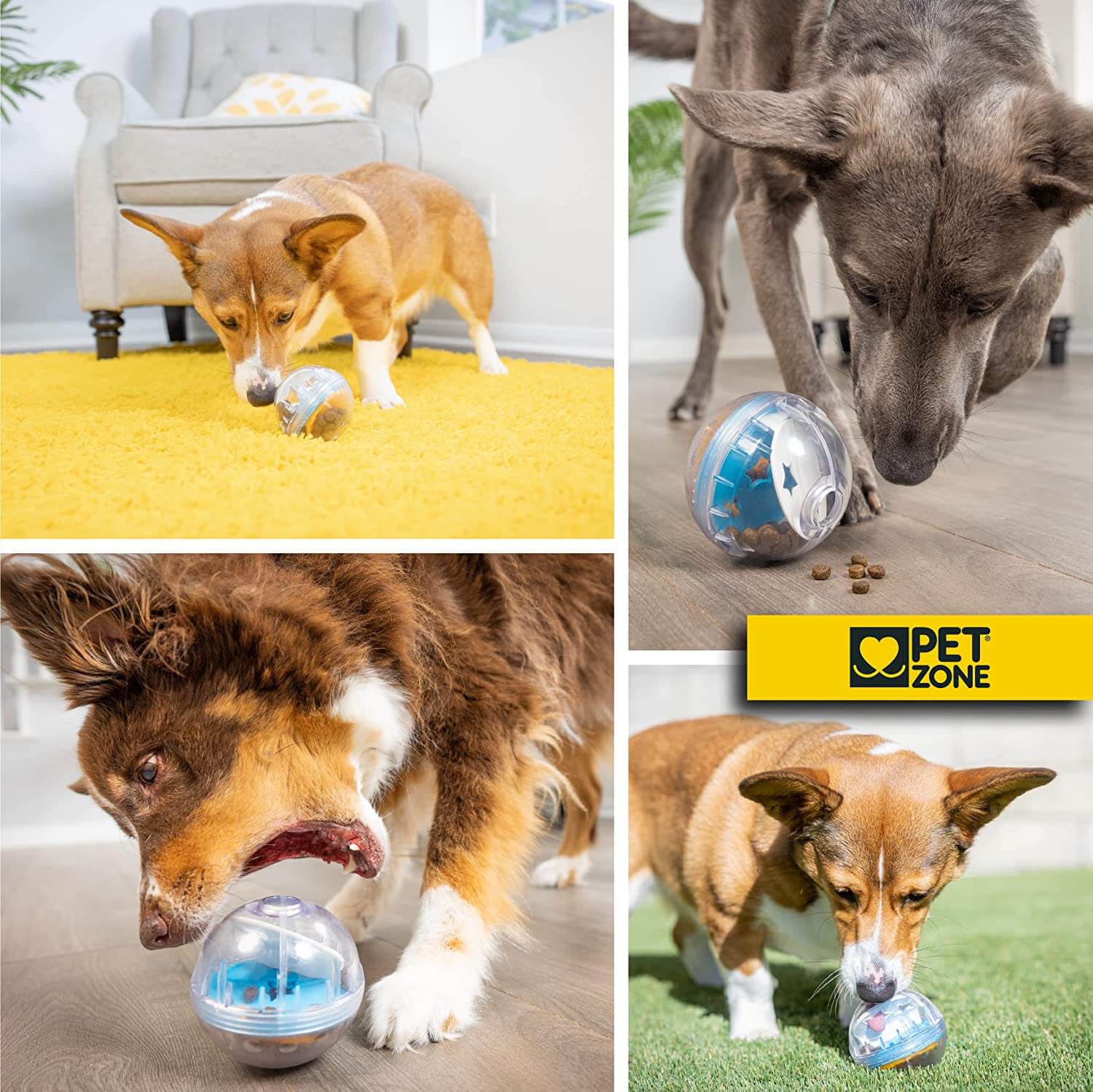 Pupper Picks 3 treat dispensers and why you should get them Awesome