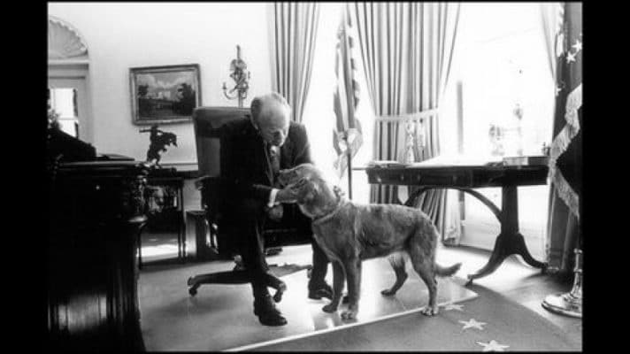 US Presidents with pet Retrievers