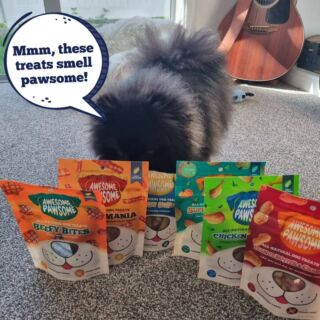 Pupper Picks: 3 treat dispensers and why you should get them - Awesome  Pawsome Pet Treats