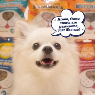 Pupper Picks: 3 treat dispensers and why you should get them - Awesome  Pawsome Pet Treats